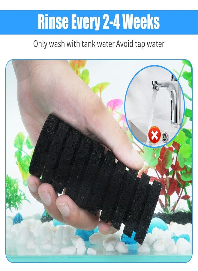 AQUANEAT Aquarium Air Powered Sponge Filter with Ceramic Media Balls, for Betta Fry Shrimp Fish Tank, with 2 Spare Sponges, up to 55Gal - Image 4